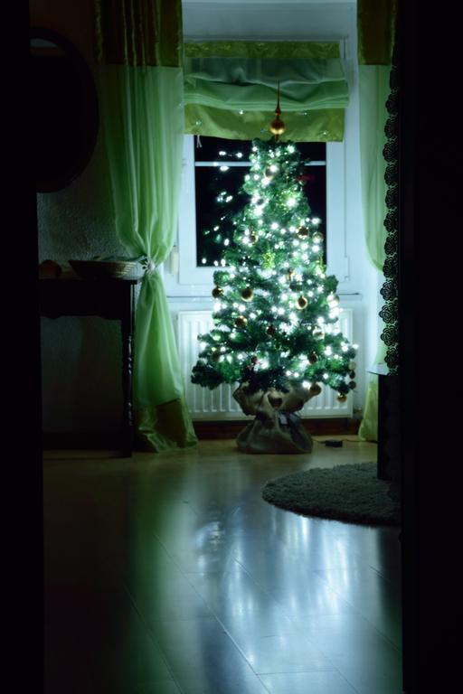 Apartment Sotocje Dolenja Trebusa ภายนอก รูปภาพ